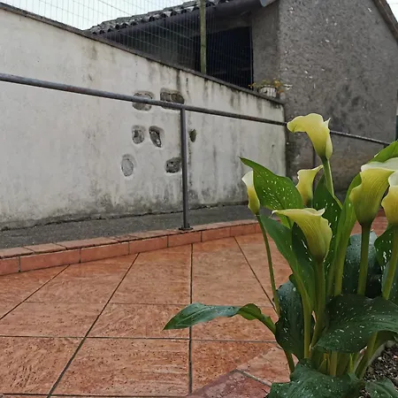 La Casa Nel Borgo Pansiyon Cavaso Del Tomba